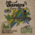 Brasile Santos NY 2/3 Arabica Premium Coffee Biologico