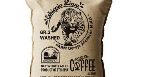 Ethiopia Limmu Dereje Afewerke Mulat