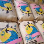 Nicaragua Arabica Finca La Pavona