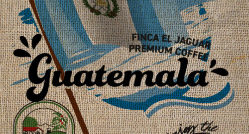 Guatemala Fine Robusta Washed  Finca Ona’ RFA / WCP