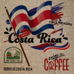 Costa Rica Finca Nacasepa  Specialty Coffee