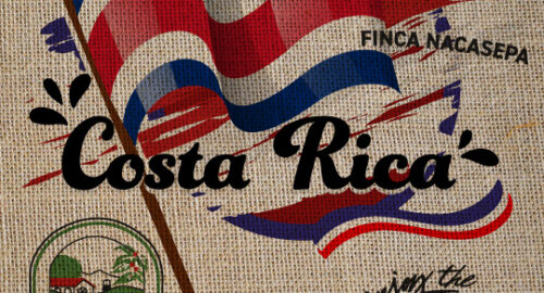 Costa Rica Finca Nacasepa  Specialty Coffee