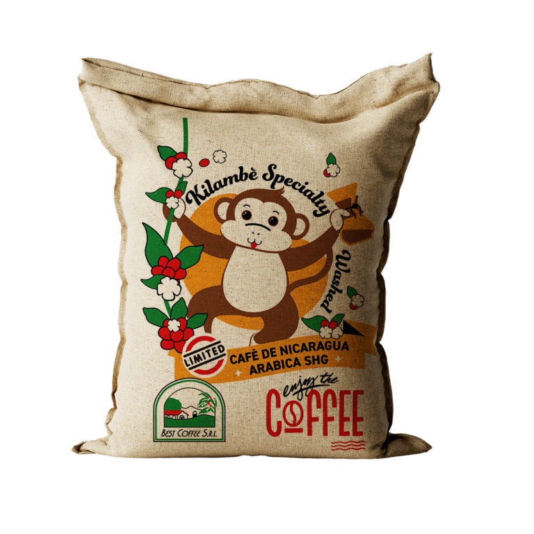 New Arrival of Nicaragua Specialty